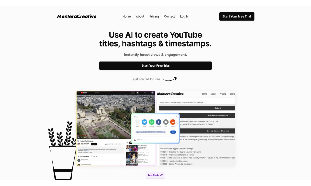 MonteraCreative