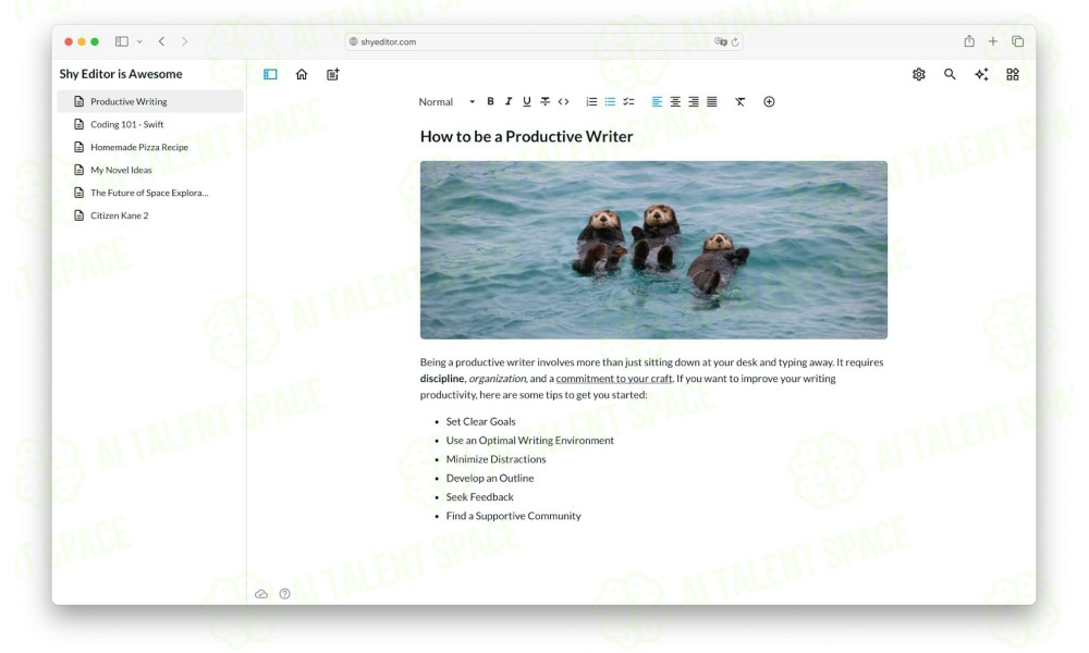 Shy Editor - Image 1