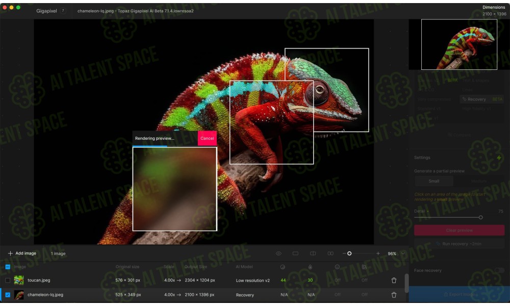 Topaz Labs - Image 2