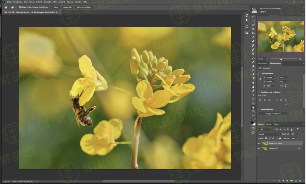 Topaz Labs - Image 4