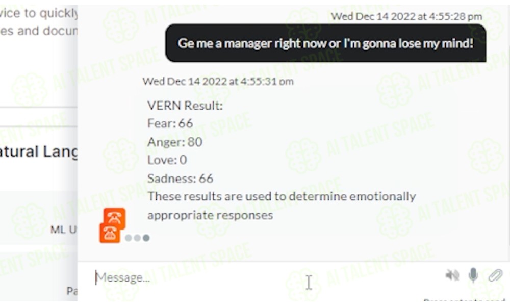 VERN AI - Image 1