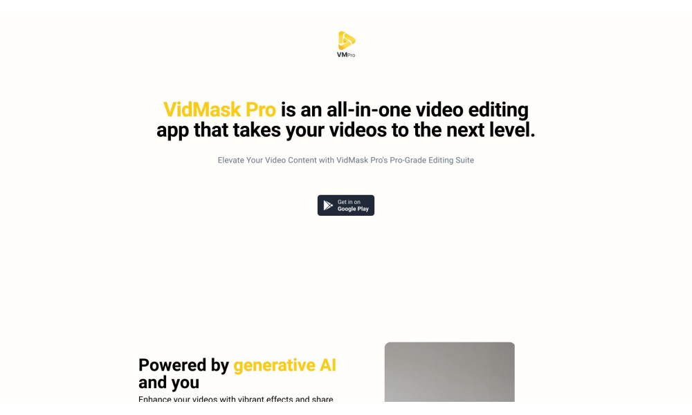 VidMaskPro