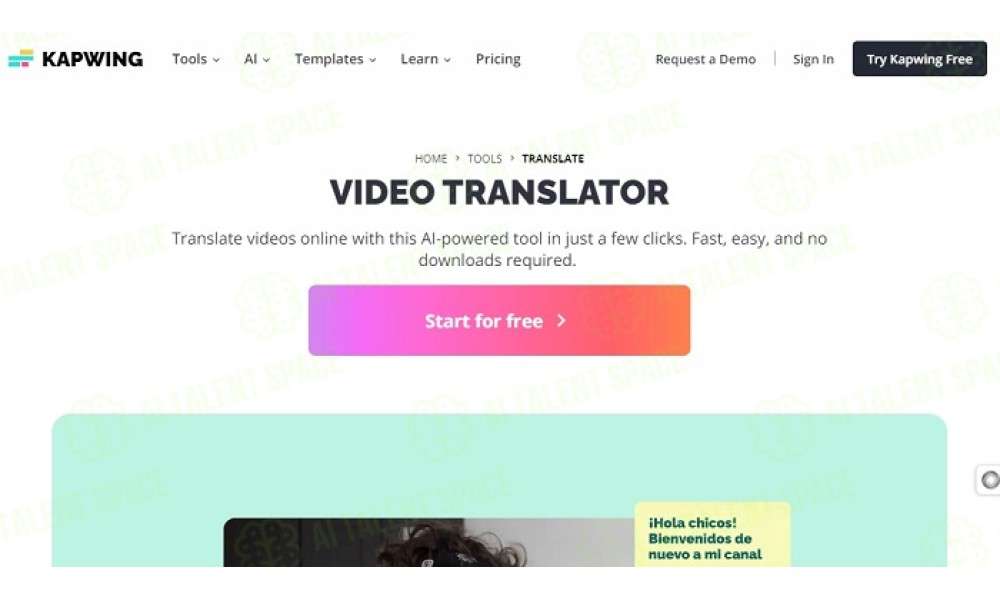 Vidnoz AI Video Translator - Image 3