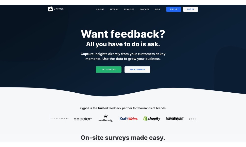 Zigpoll - Survey & Feedback Platform