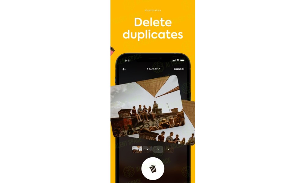 Duplicatus - Image 2
