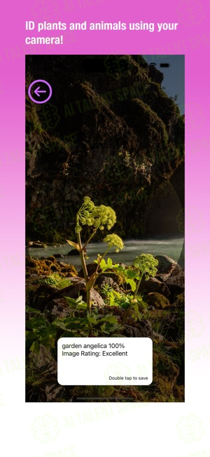 CrossPrism Nature Id - Image 3