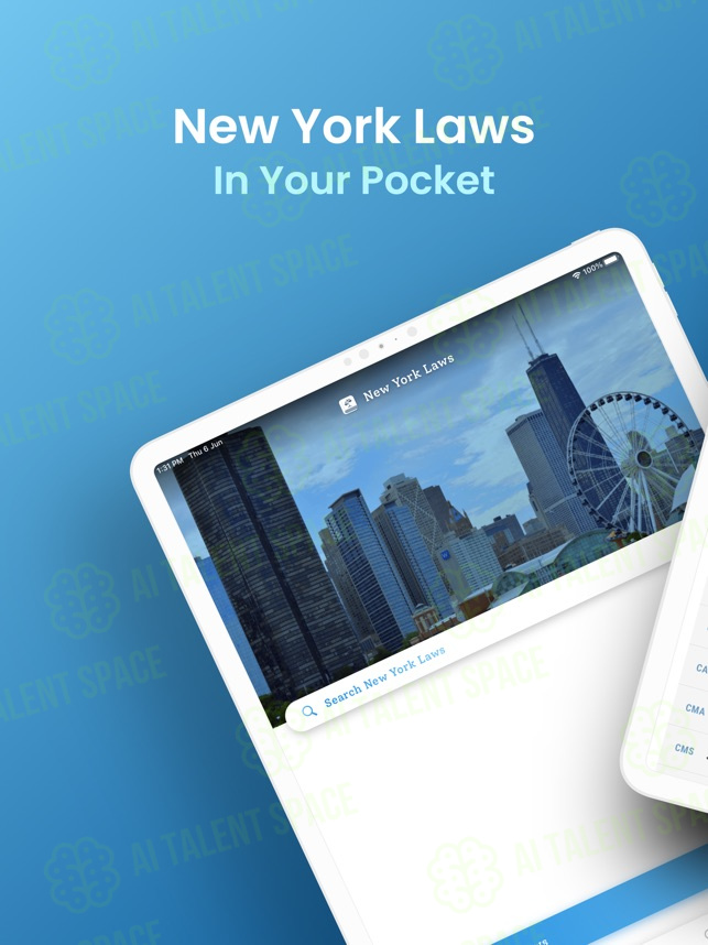 NY Laws App - Image 2