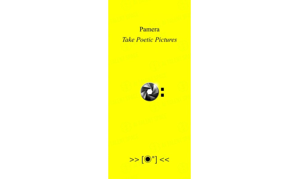 Pamera - Image 1