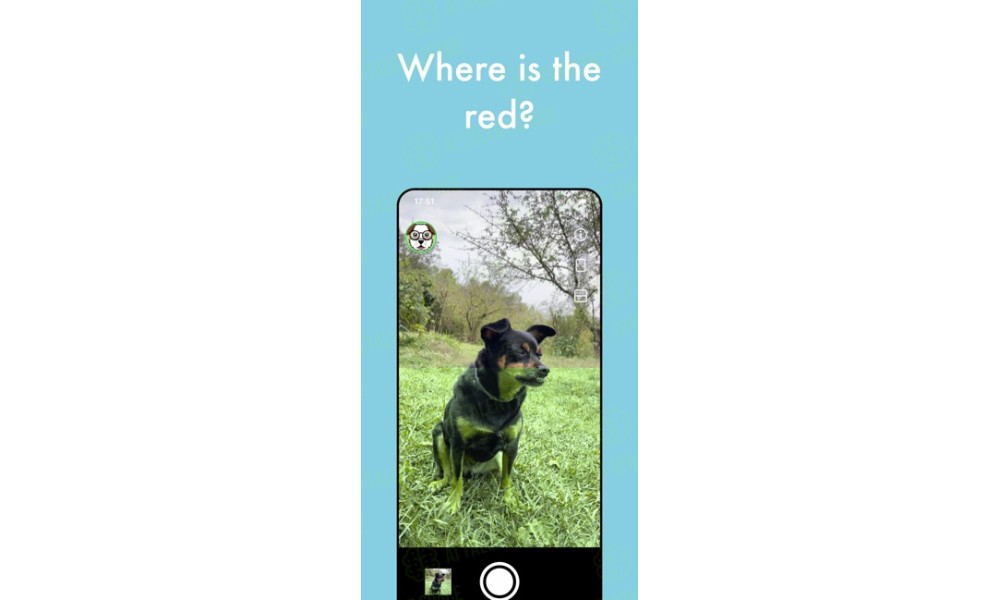 Seeing Dogs - Image 5