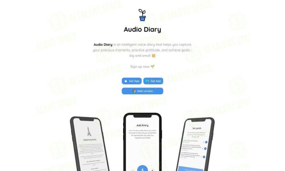 Audio Diary - Image 2