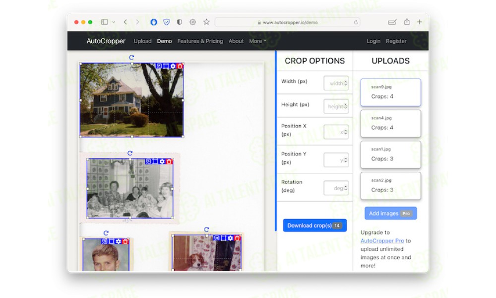 AutoCropper - Image 2