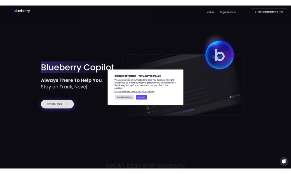 Bberry Copilot