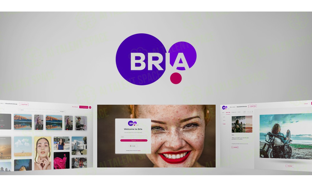 BRIA.ai - Image 1
