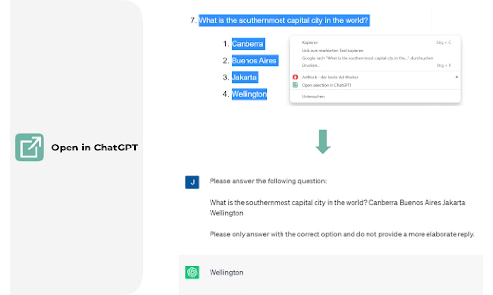 ChatGPT Text Selection Extension