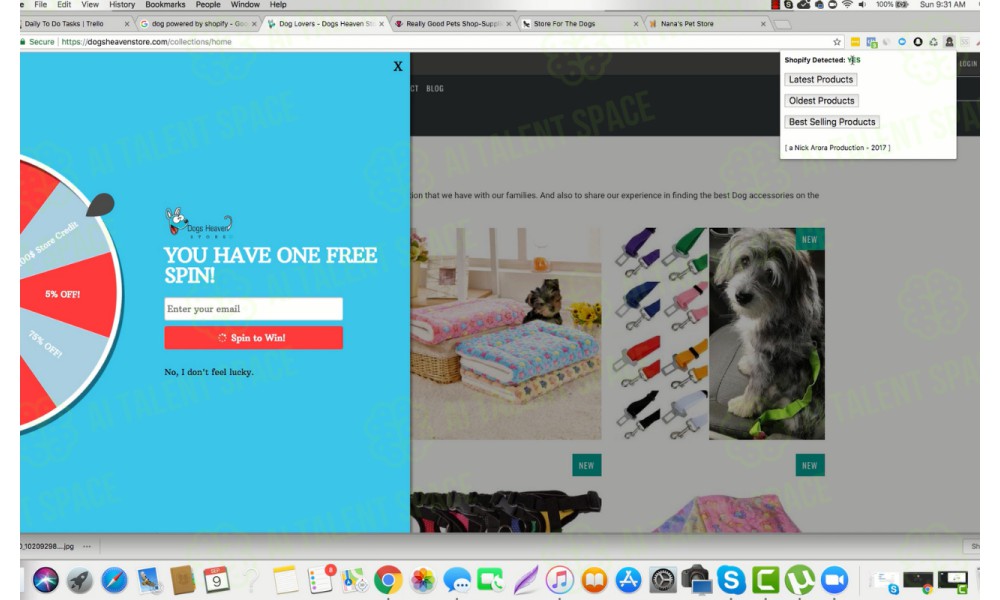Shopify Product Search - Image 4