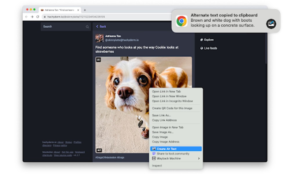 Alt Text Creator