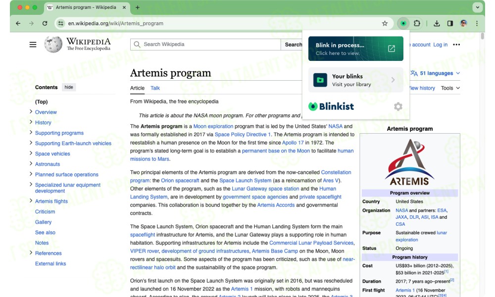 Blinkist AI - Image 1