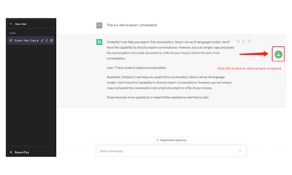 ChatGPT Conversation Export