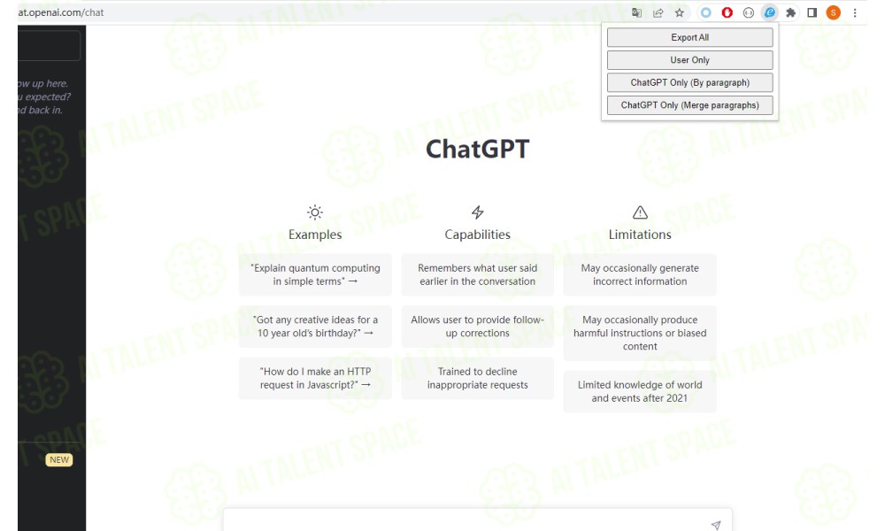 ChatGPT Content Extractor - Image 1
