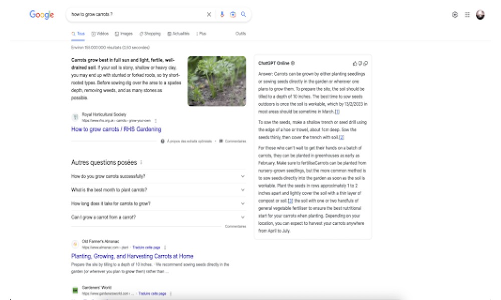 ChatGPT Online for Google
