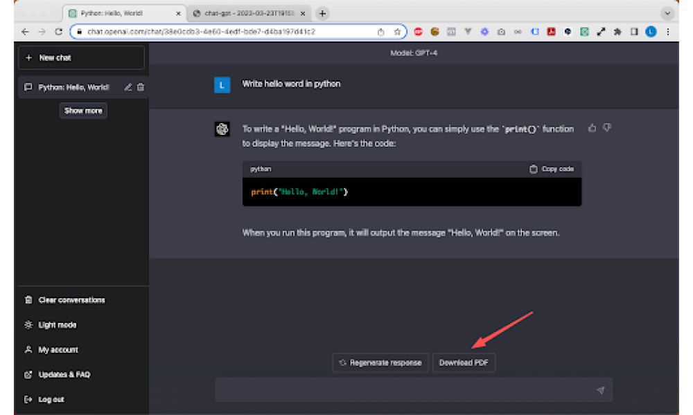 Chat-GPT PDF Extension