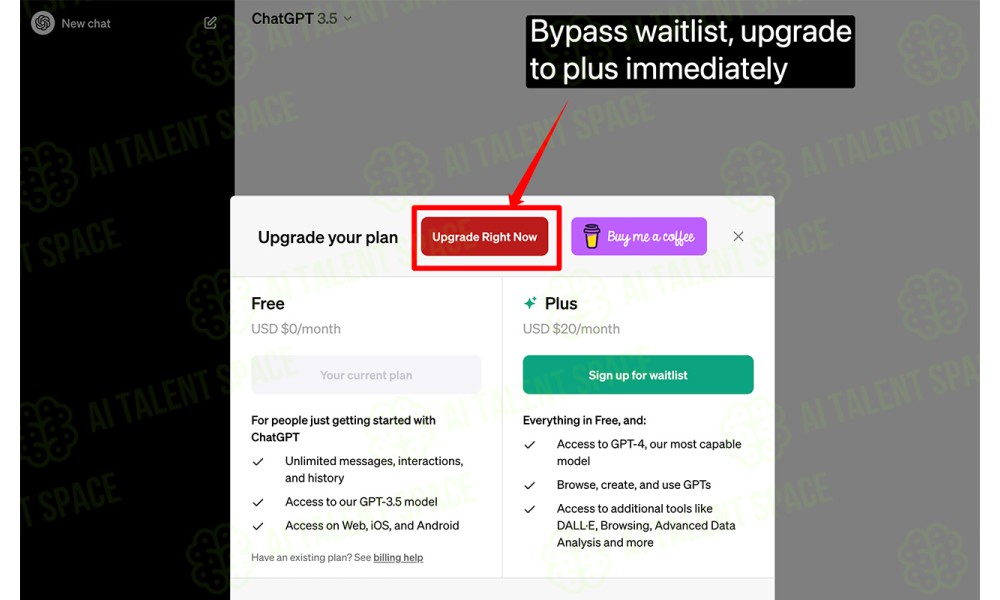 Chatgpt Plus Waitlist Skipper - Image 1