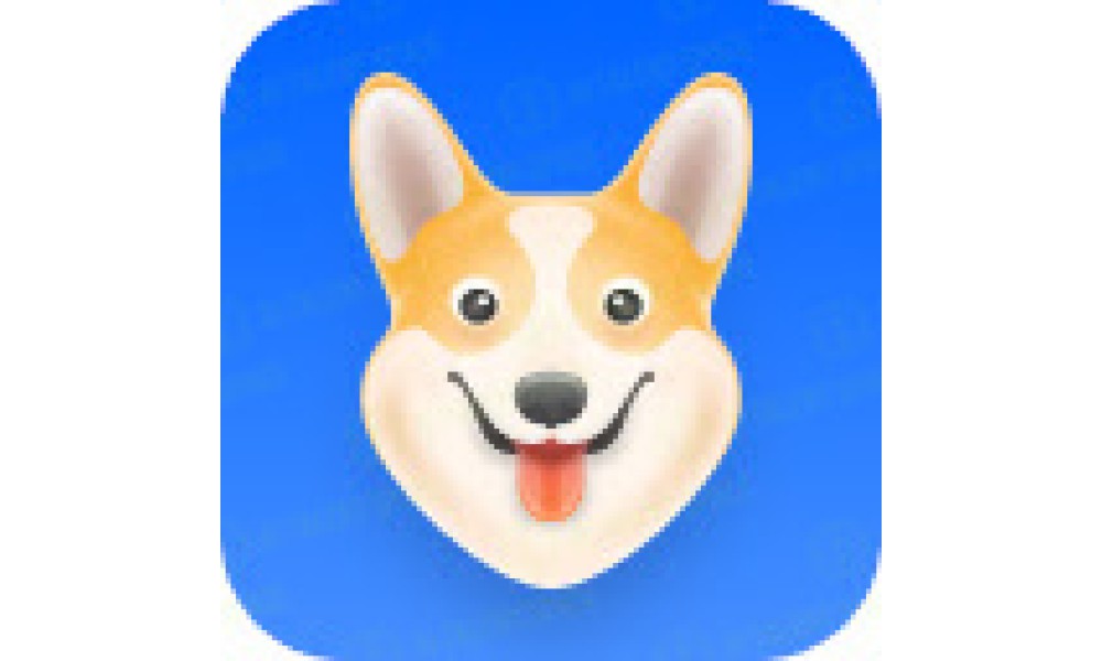 Corgi AI - Your language teacher - Image 4