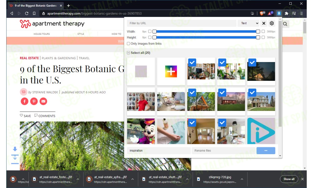 DALL·E 2 Image Downloader - Image 4