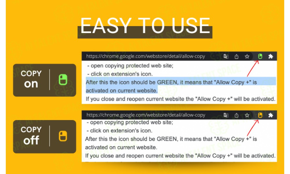 EasyCopy.ai - Image 5
