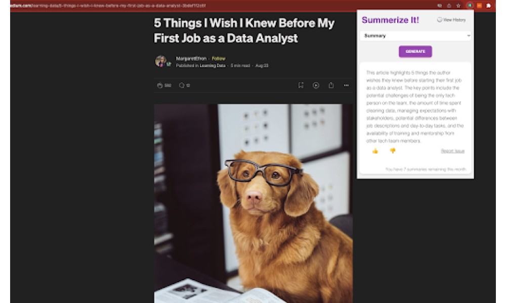 Summerize.ai