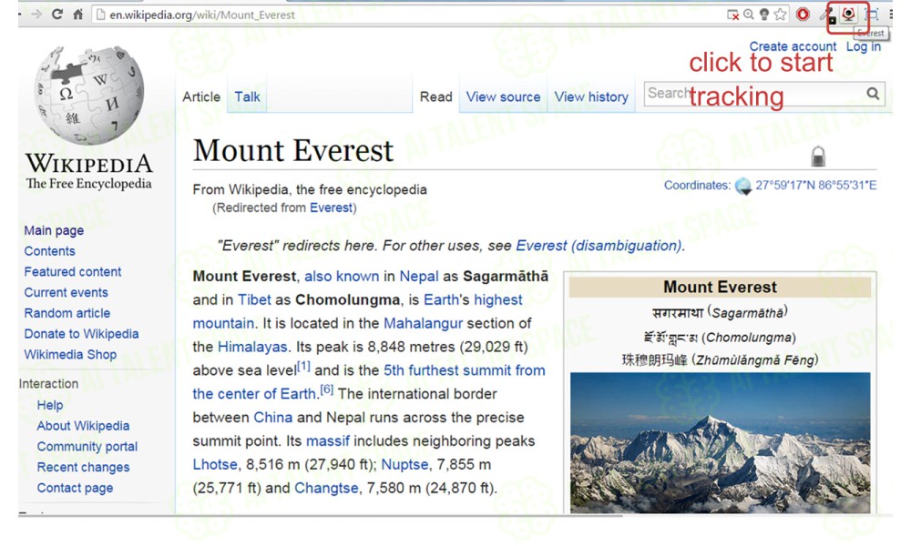 Everest Data AI Bot - Image 2