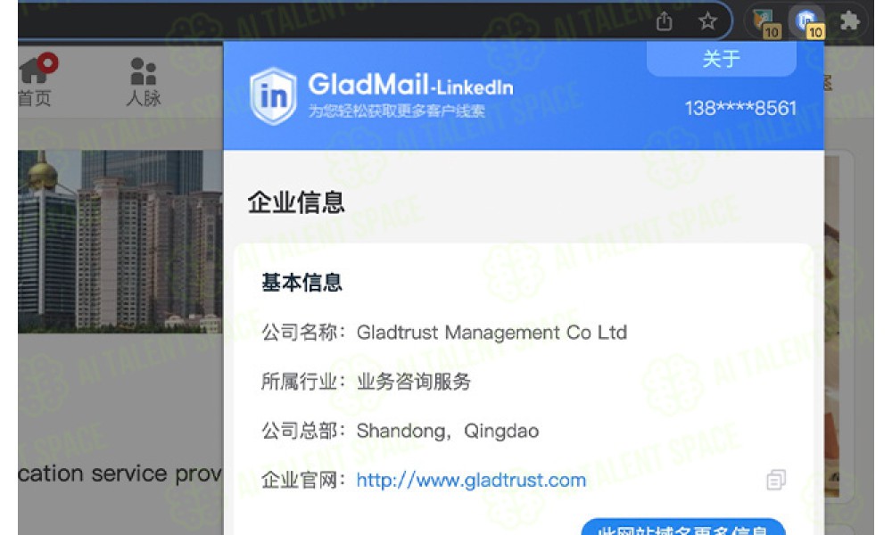 LinkedInsight - Image 2