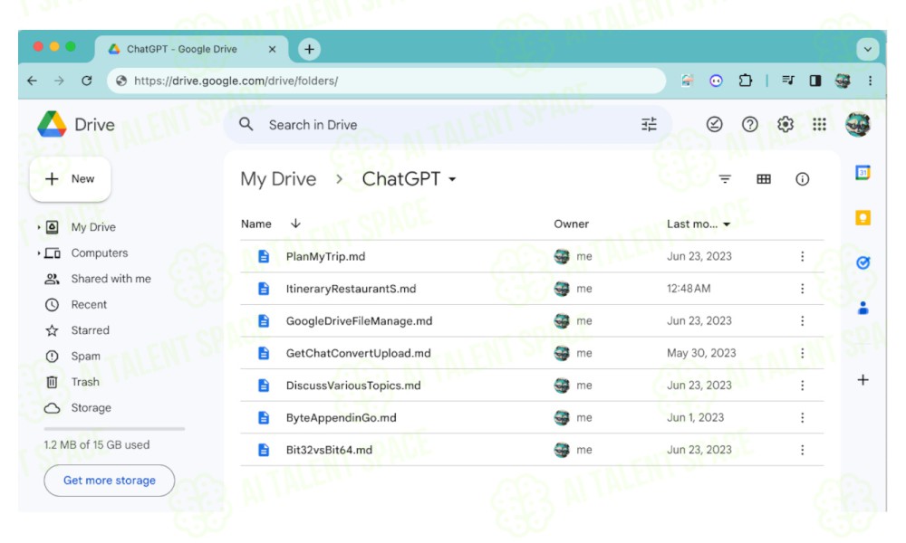 GPTDrive - Image 4