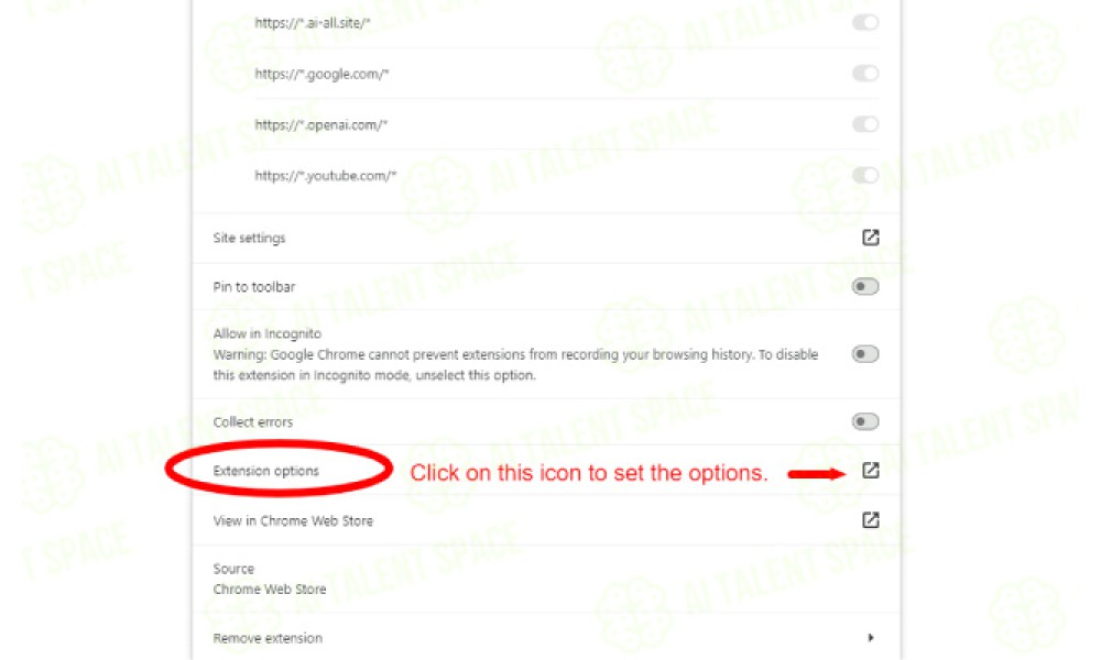 IYVV - Image and YouTube Video Viewer for GPTs - Image 3