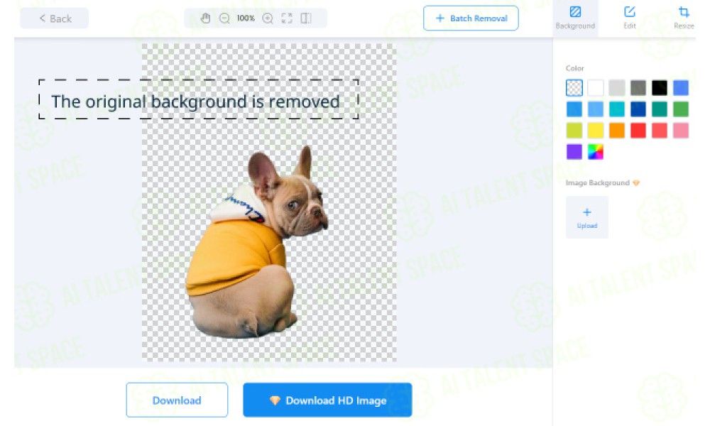 AnyEraser - Image 2