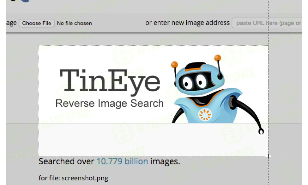 ImagePrompt - Image 2