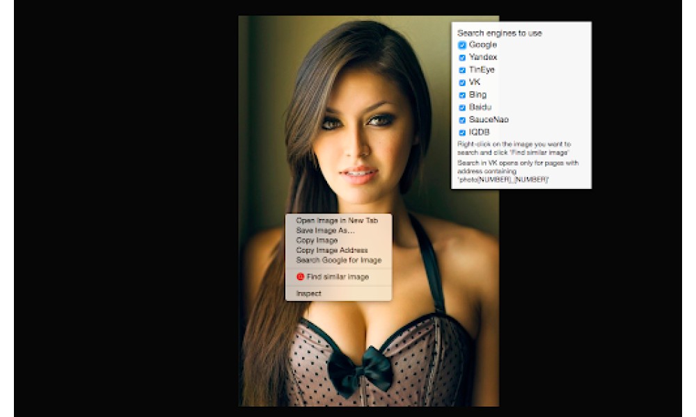 Image Search Extension