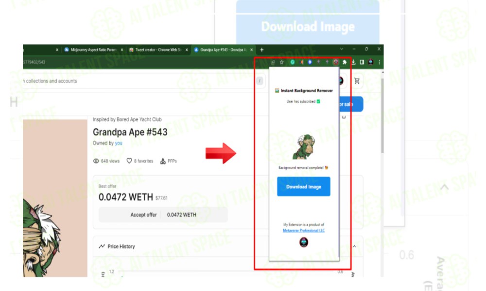Instant Background Remover - Image 2