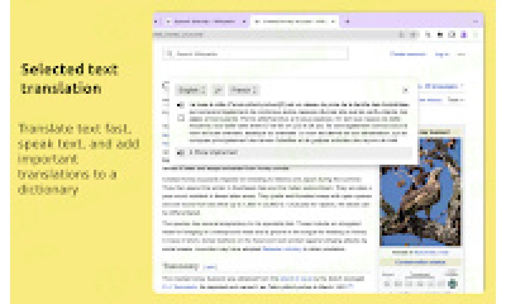 Language Weaver Instant Translation - Image 4