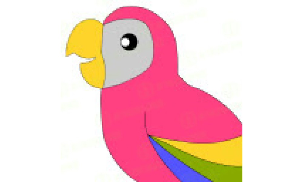 Loro - Image 3