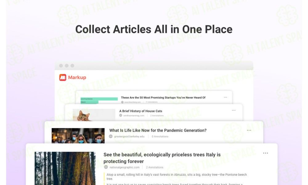 Markup - Image 4
