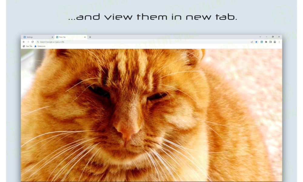 Mineral New Tab - Image 5