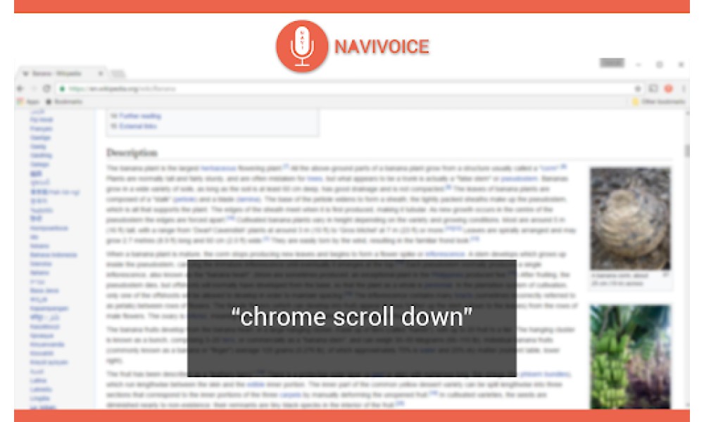 NaviVoice