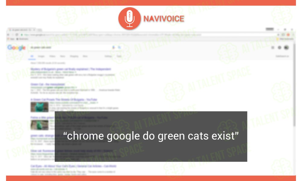 NaviVoice - Image 3