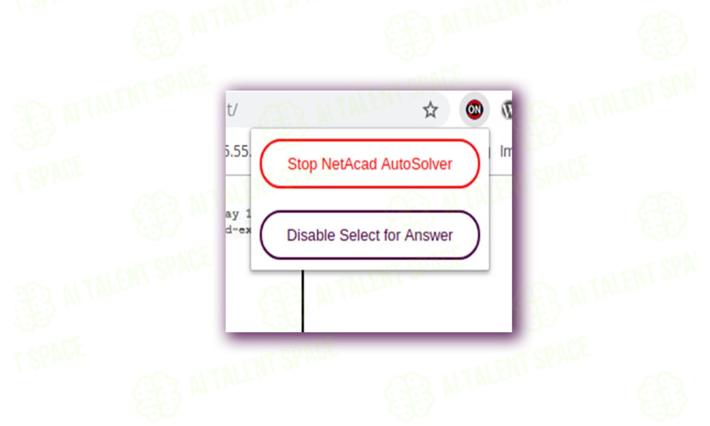 NetAcad Assessment AutoSolver - Image 4
