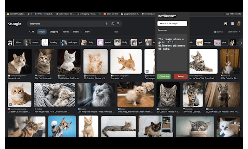 Vision-Enabled Language Model Extension