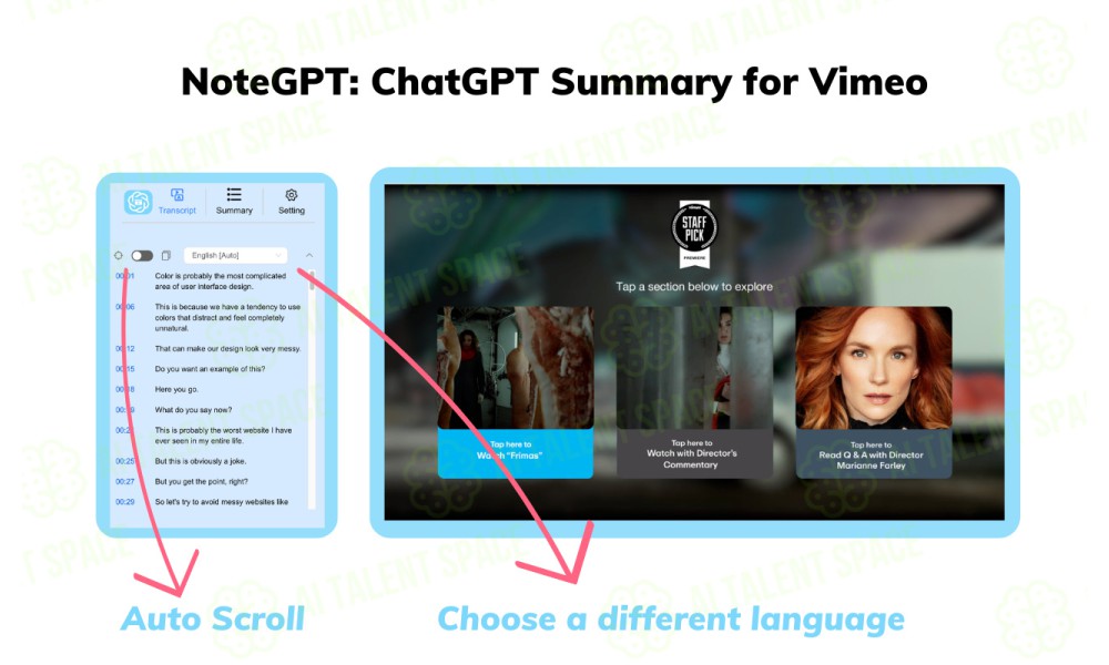 Vimeo Summary Generator - Image 2