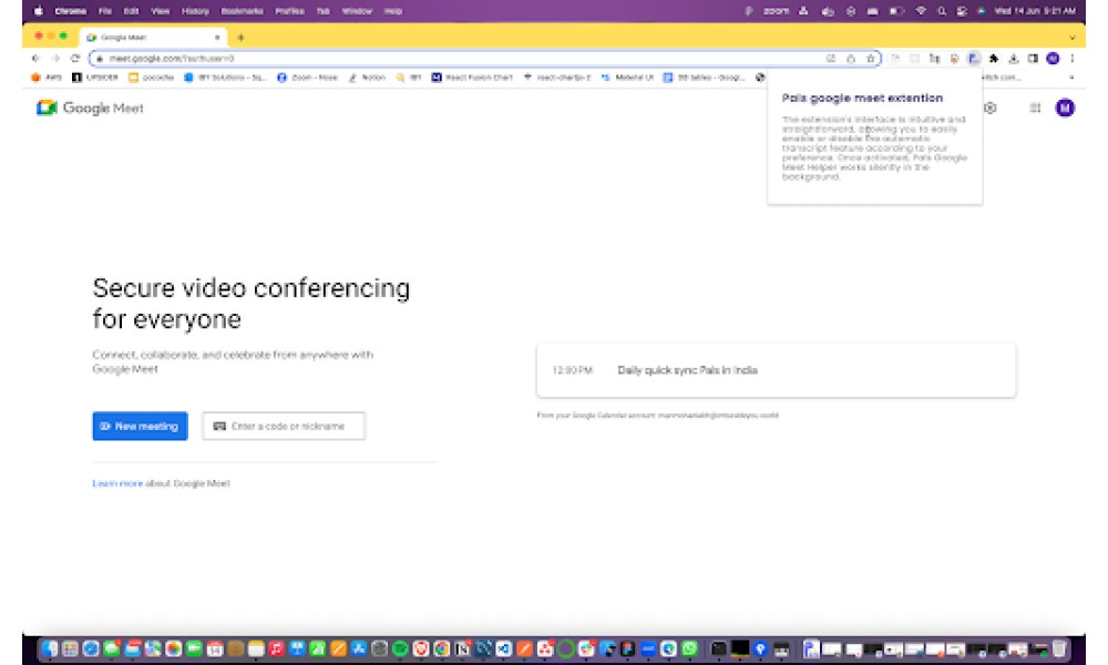 Pals Google Meet Helper