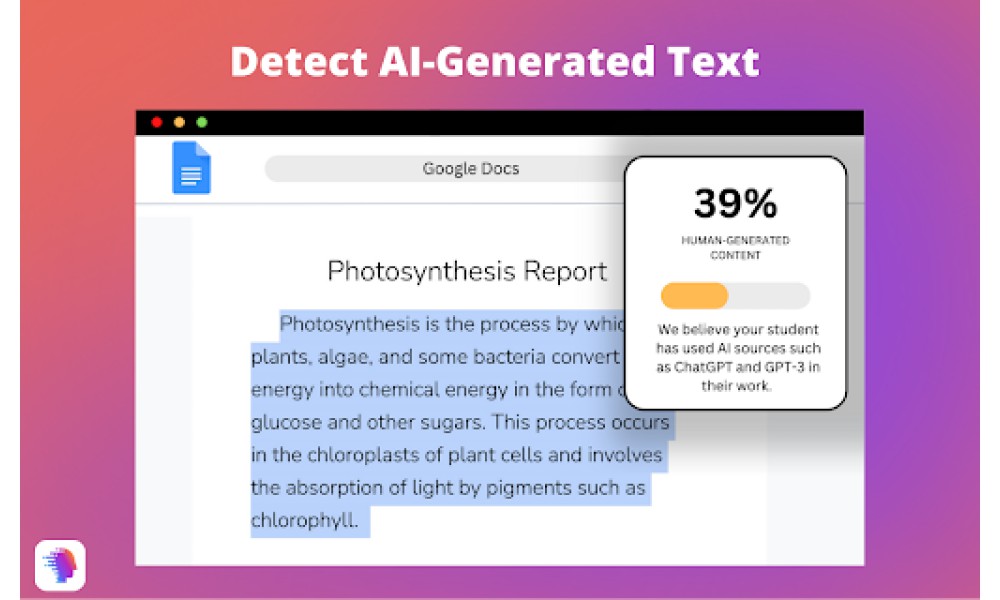 Plagiarism Detector