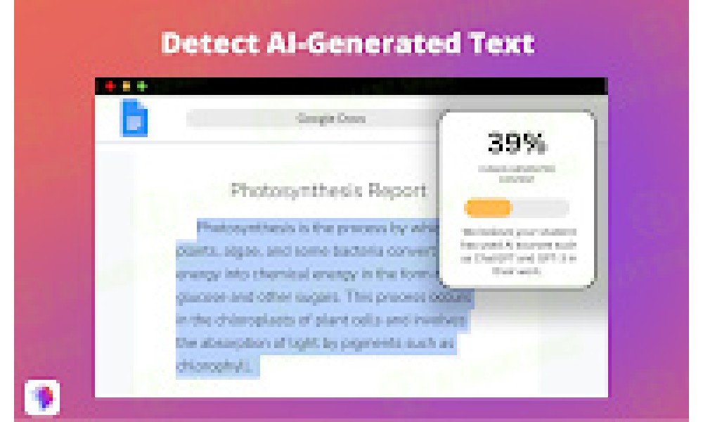 Plagiarism Detector - Image 4